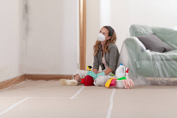 Reliable Basement Mold Remediation contractor in Millersville, PA by WQB Mold Removal